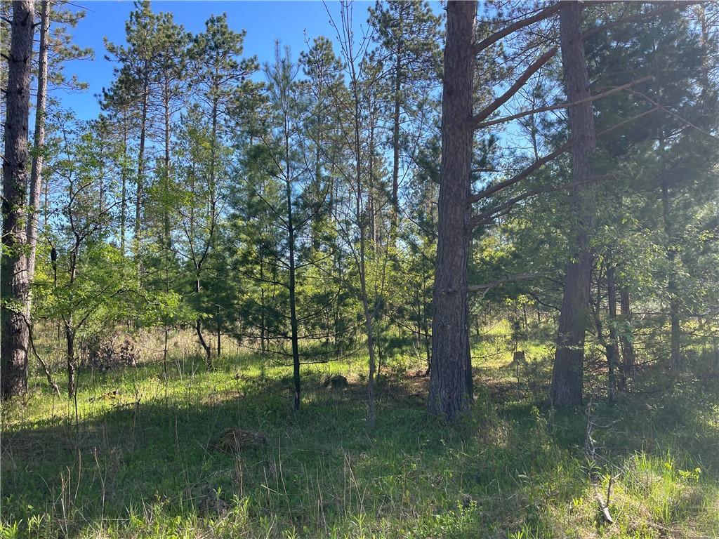 Lot 2 Elaine Drive Hayward WI 54843 1591963 image9