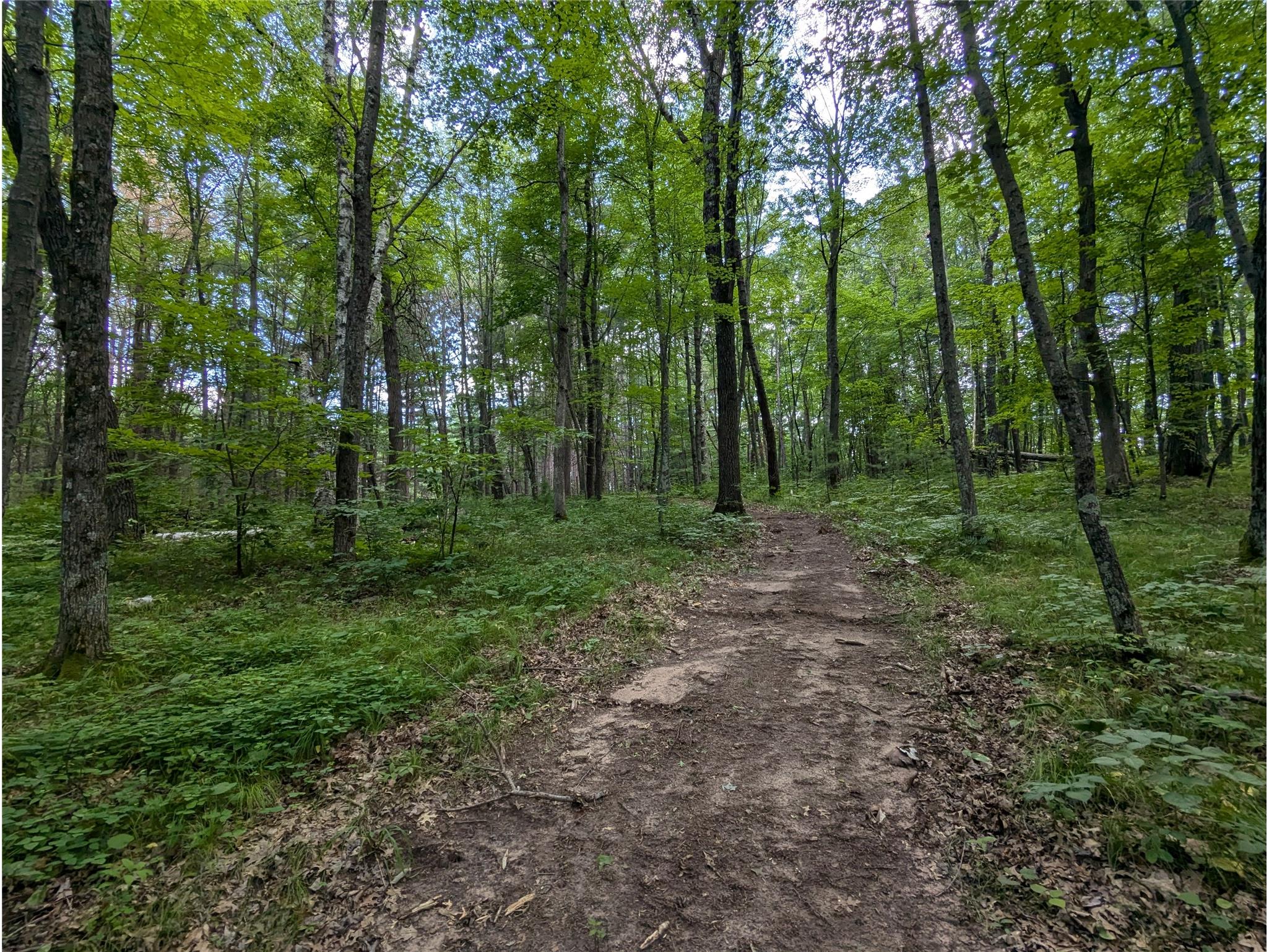 Lot 2 Fosmo Webster WI 54893 - Big Sand Lake 1599367 image1