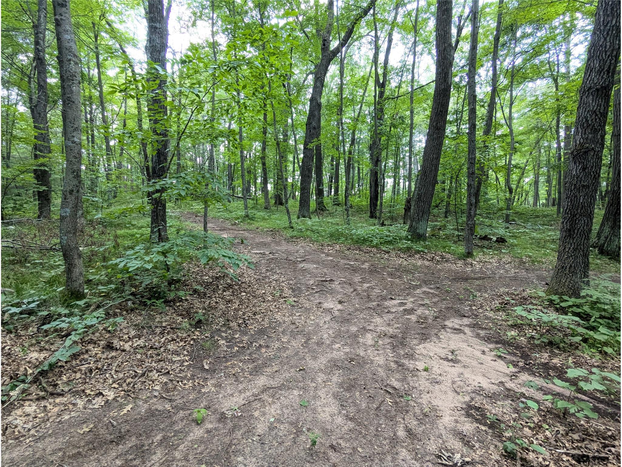 Lot 2 Fosmo Webster WI 54893 - Big Sand Lake 1599367 image2
