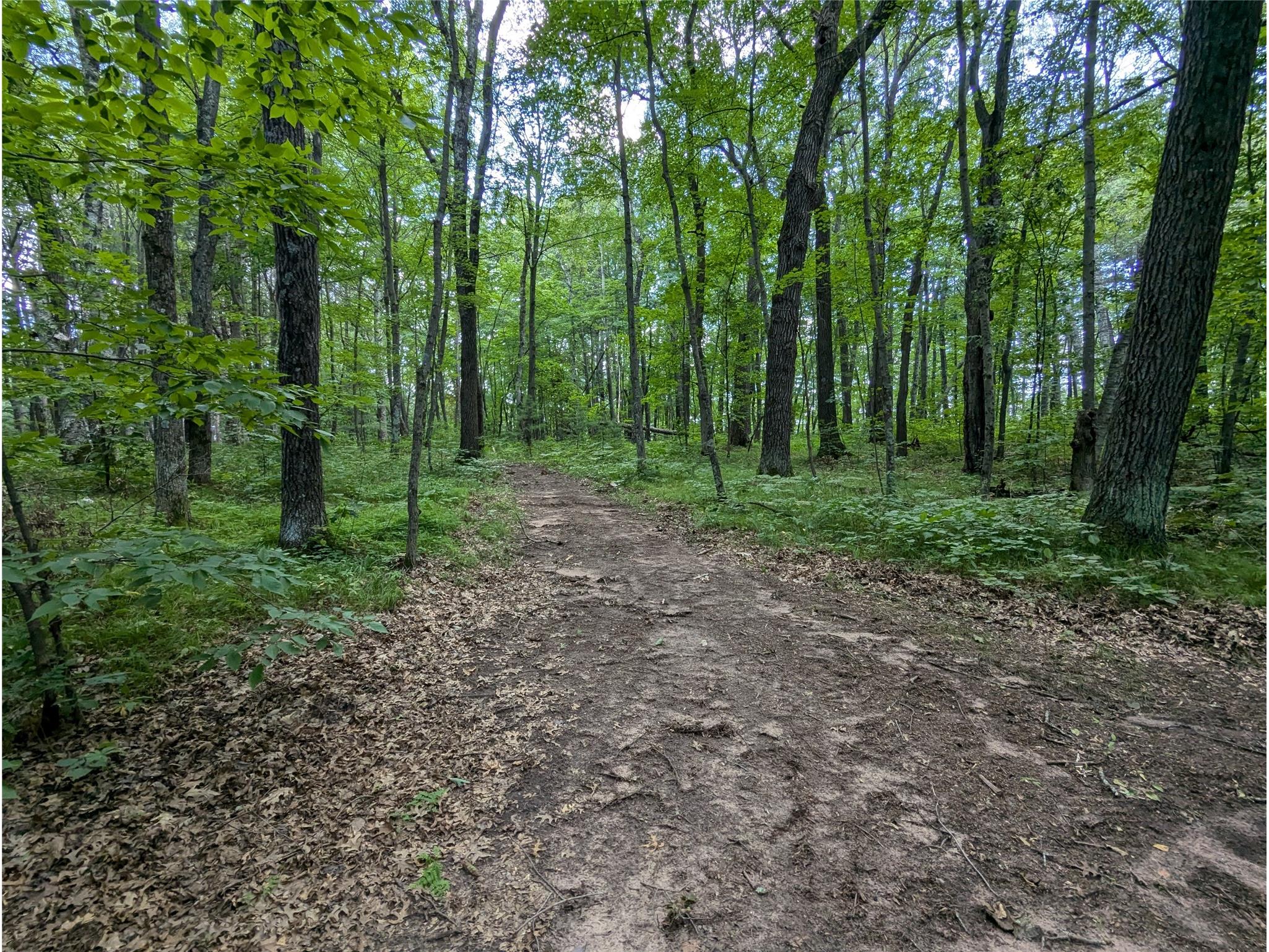 Lot 2 Fosmo Webster WI 54893 - Big Sand Lake 1599367 image3