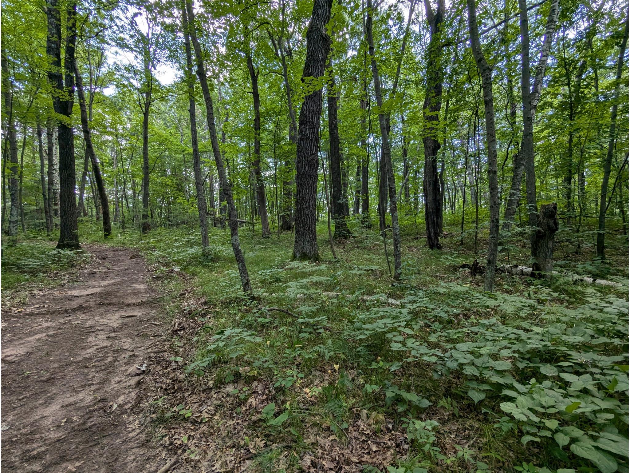 Lot 2 Fosmo Webster WI 54893 - Big Sand Lake 1599367 image4