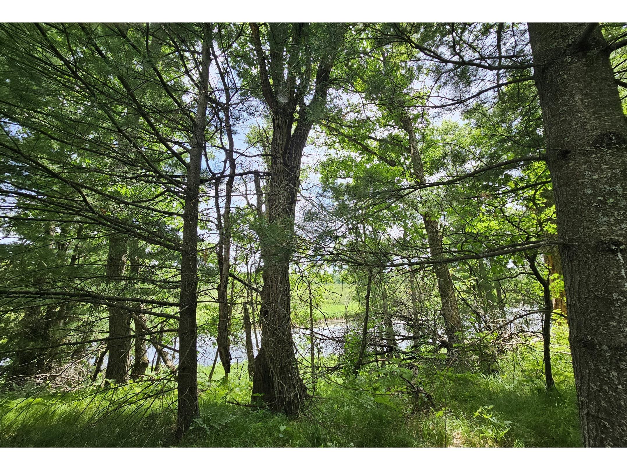Lot 2 Gaslyn Road Webster WI 54893 - Yellow River 1602443 image1