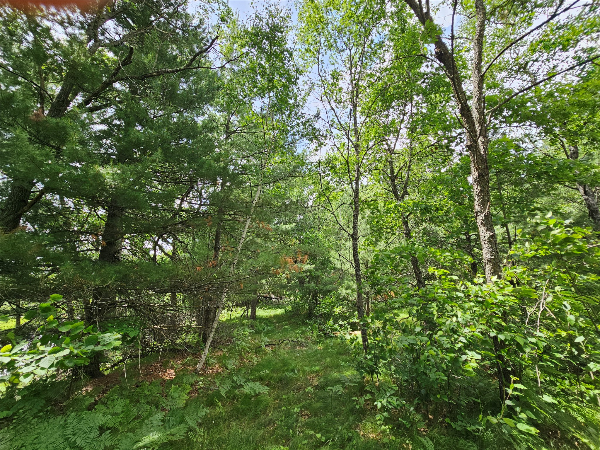 Lot 2 Gaslyn Road Webster WI 54893 - Yellow River 1602443 image5