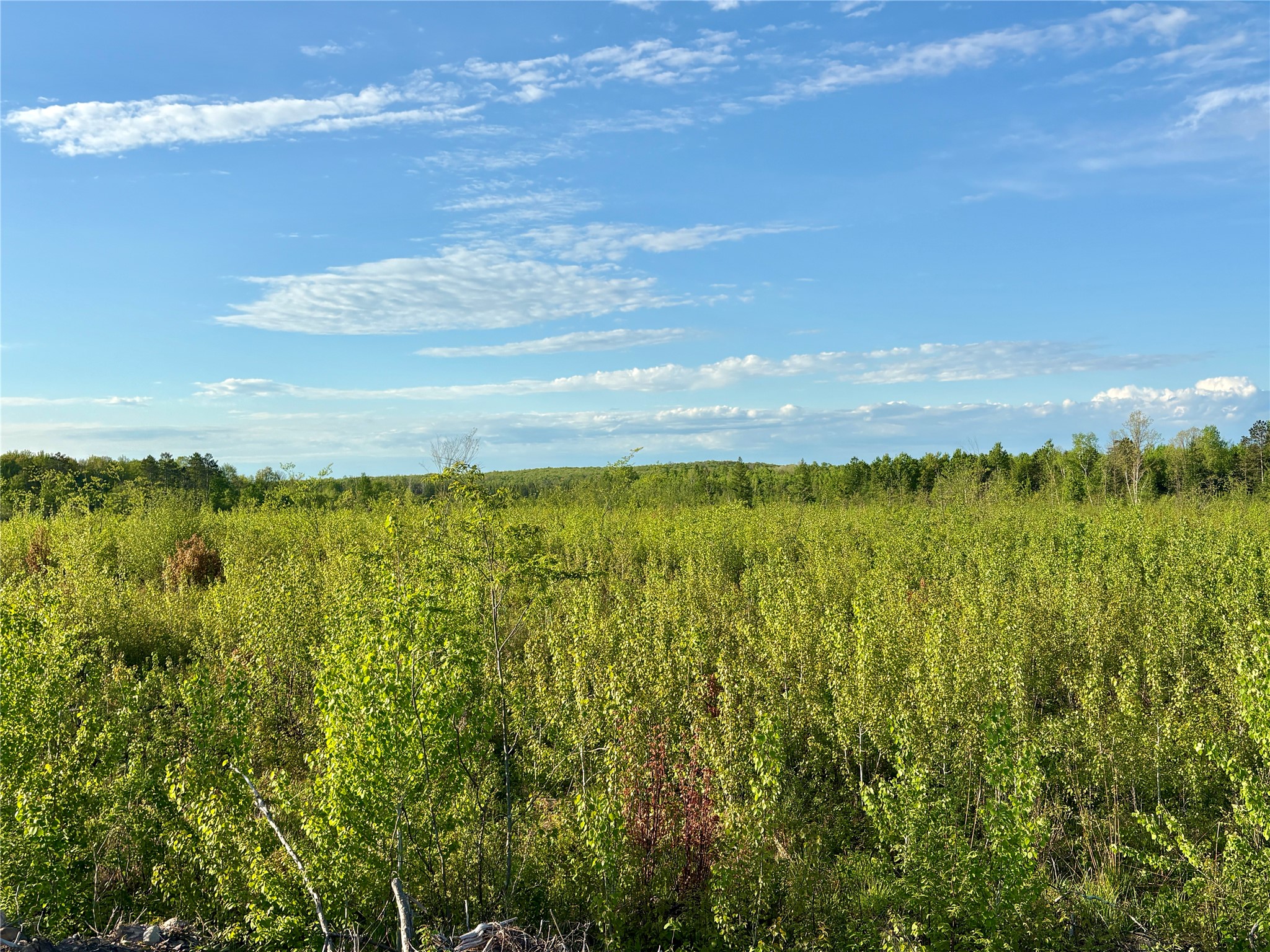 Lot 2 Girod Ladysmith WI 54848 1601913 image20