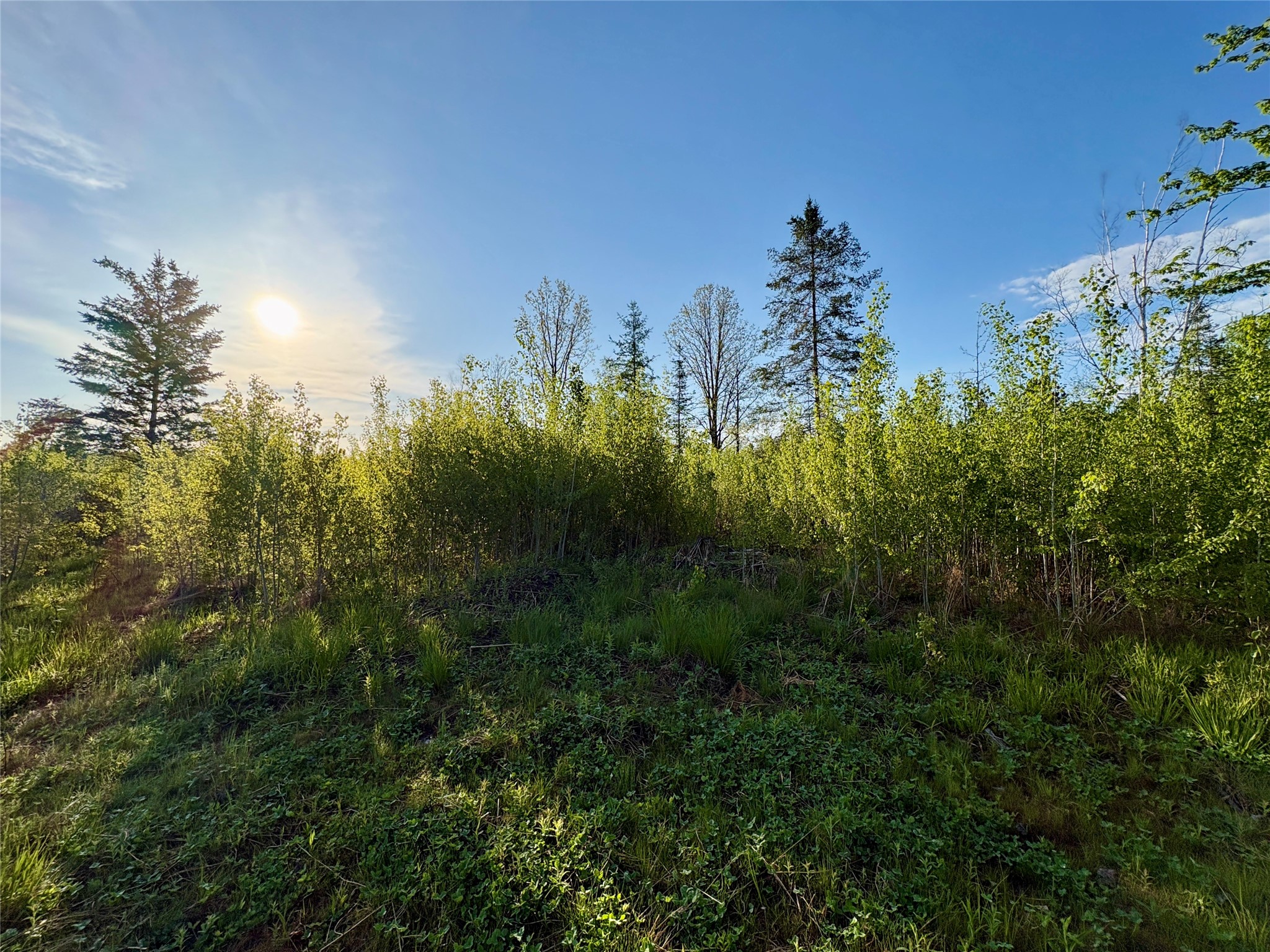 Lot 2 Girod Ladysmith WI 54848 1601913 image4