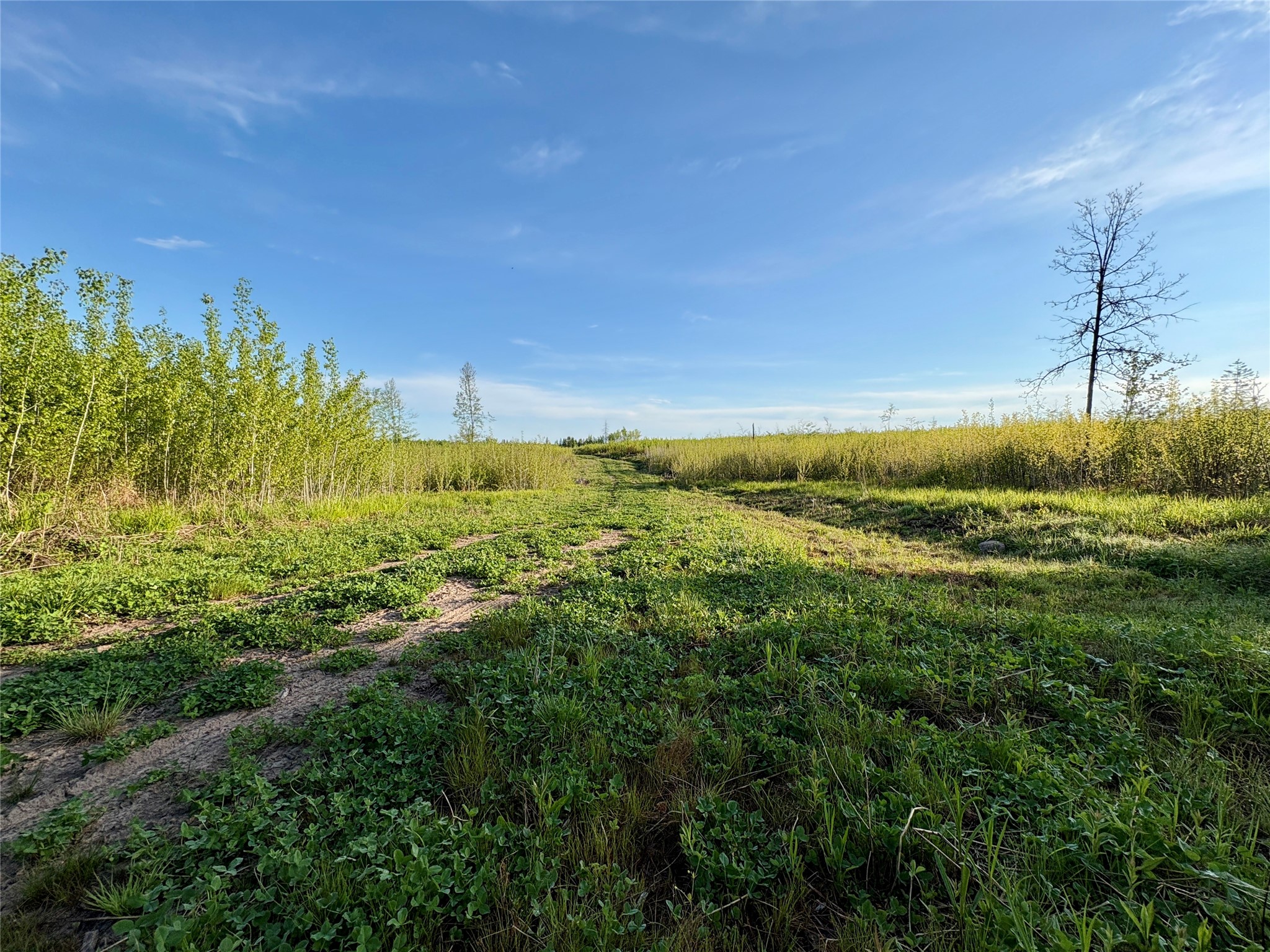 Lot 2 Girod Ladysmith WI 54848 1601913 image5