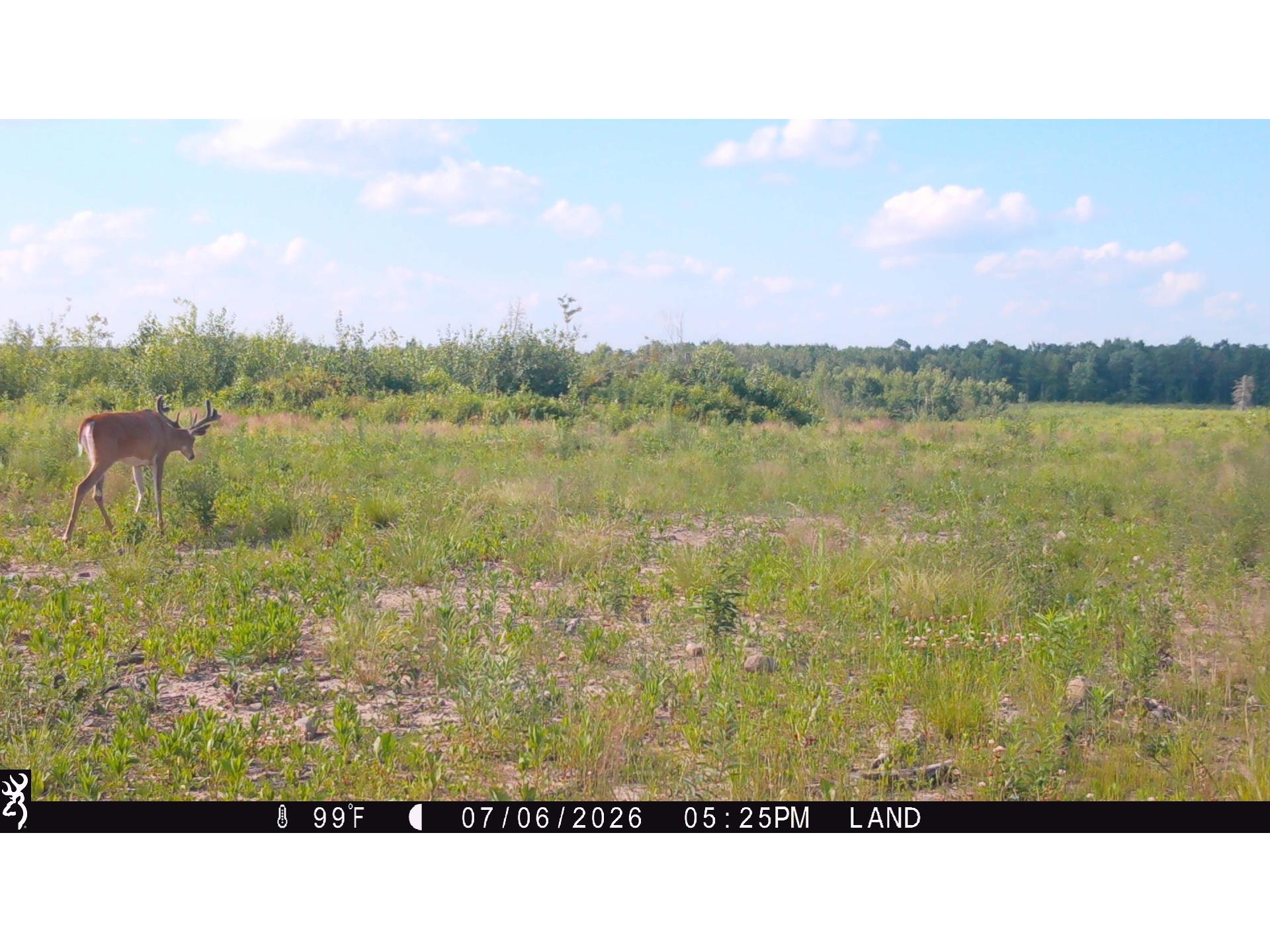 Lot 2 Girod Road Ladysmith WI 54848 1601913 image10