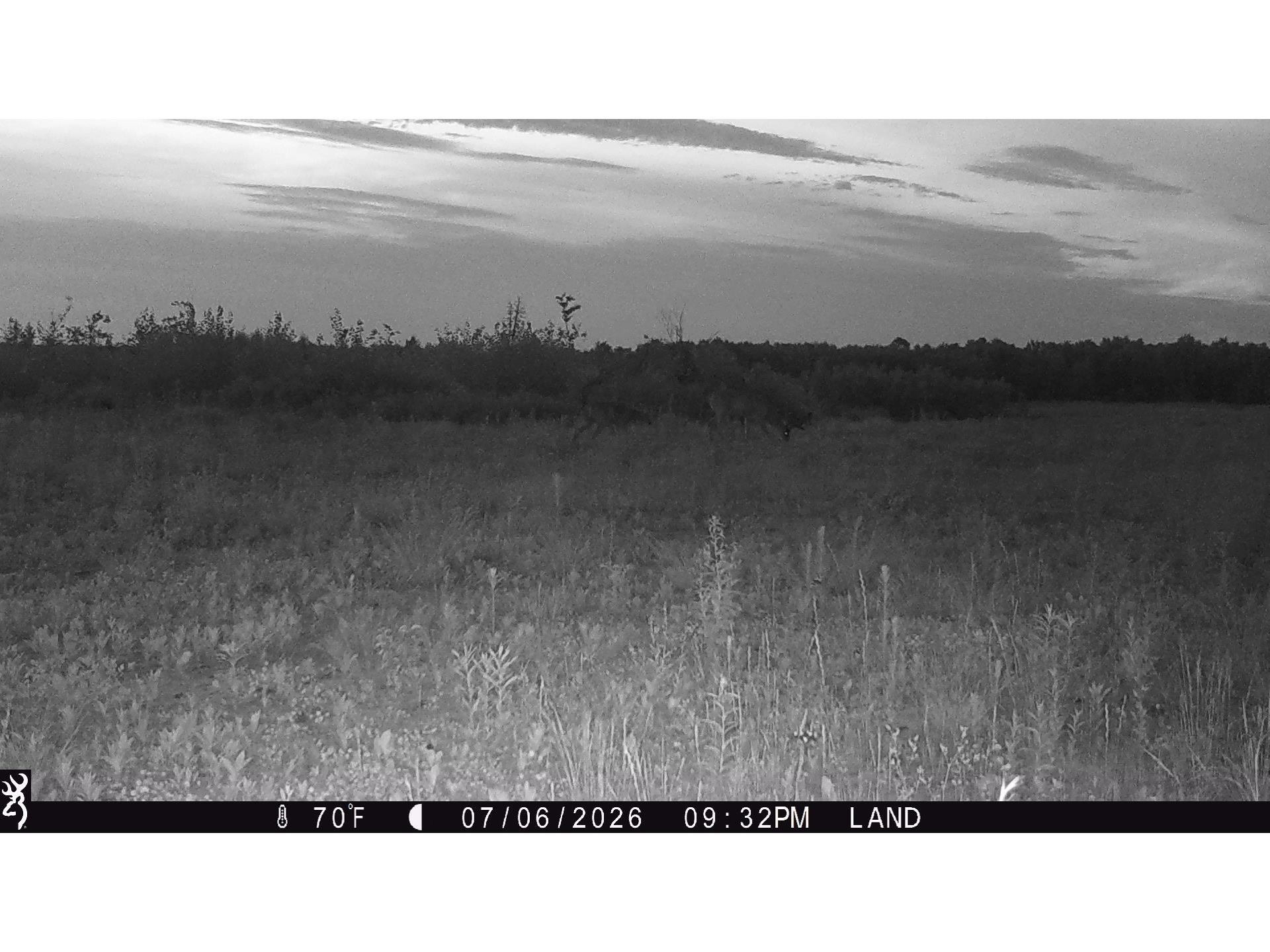 Lot 2 Girod Road Ladysmith WI 54848 1601913 image33