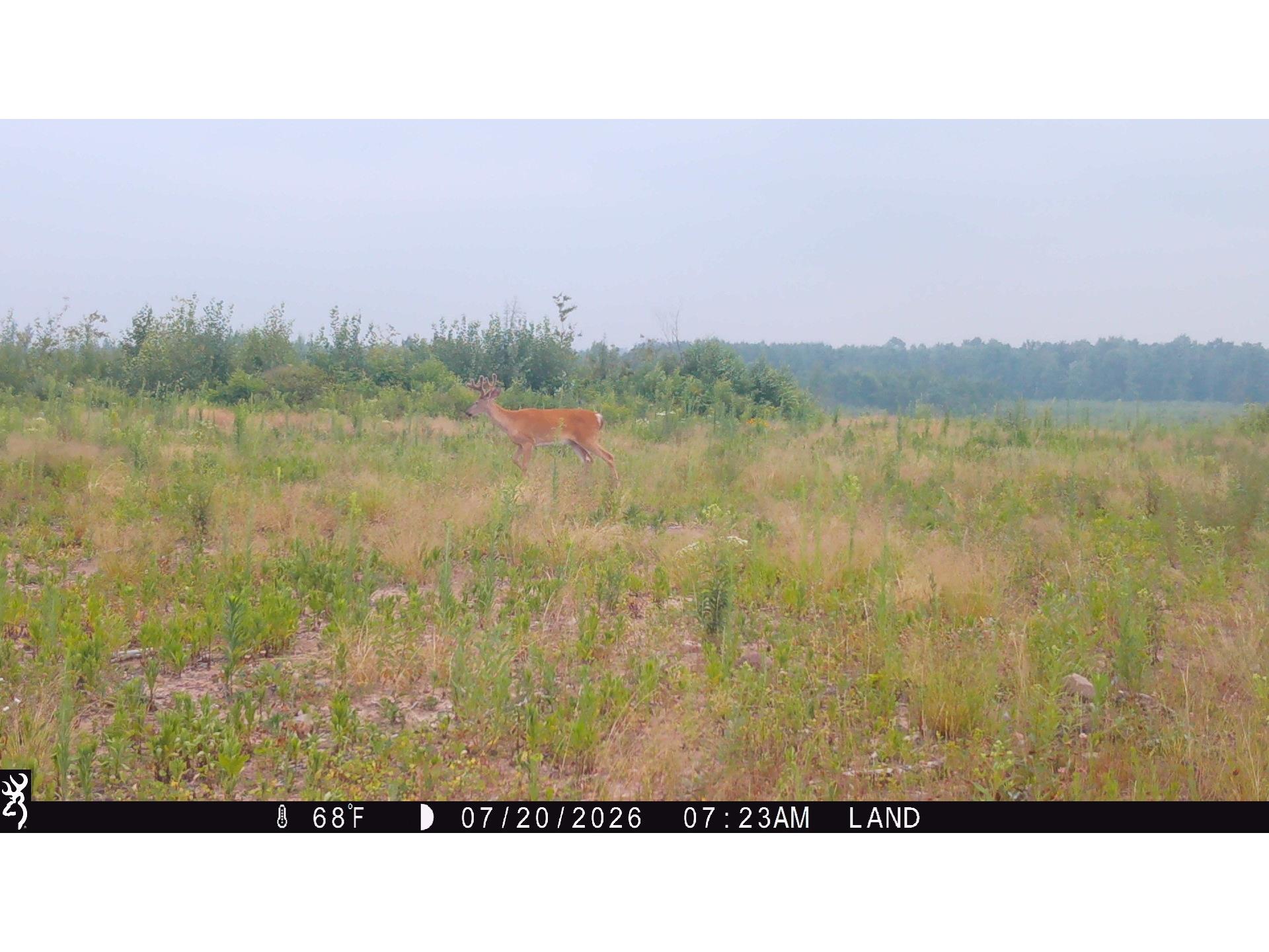 Lot 2 Girod Road Ladysmith WI 54848 1601913 image9