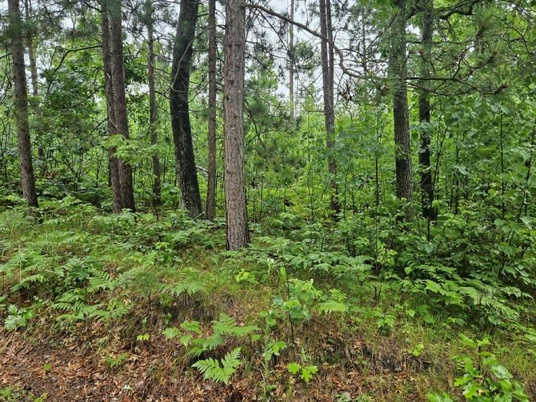 Lot 2 Hilly Lane Spooner WI 54801 1602448 image4