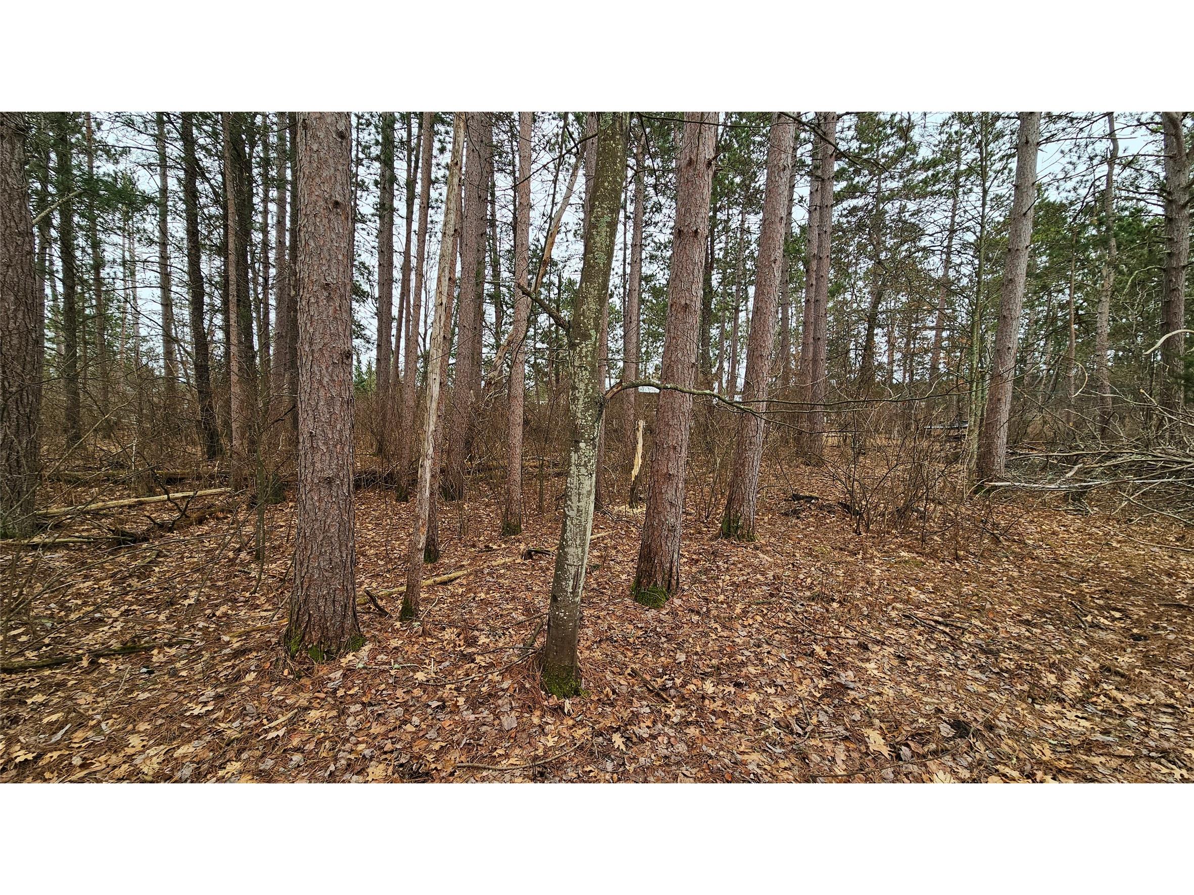 Lot 2 Jenny Lane Hayward WI 54843 1599996 image3