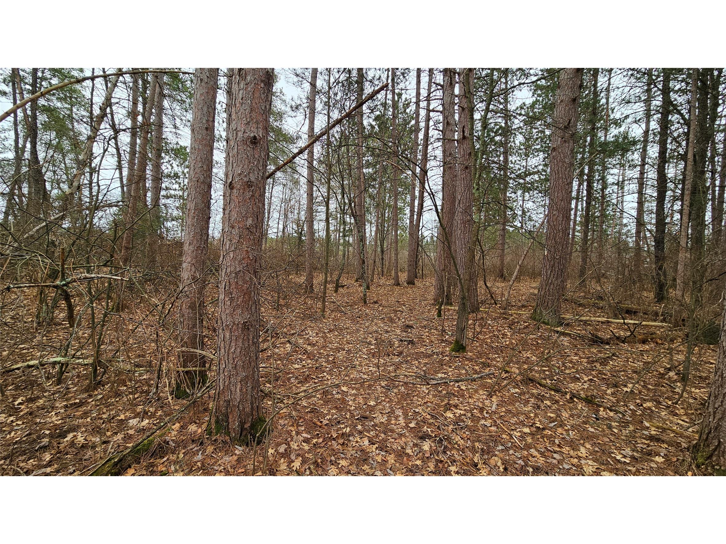 Lot 2 Jenny Lane Hayward WI 54843 1599996 image4
