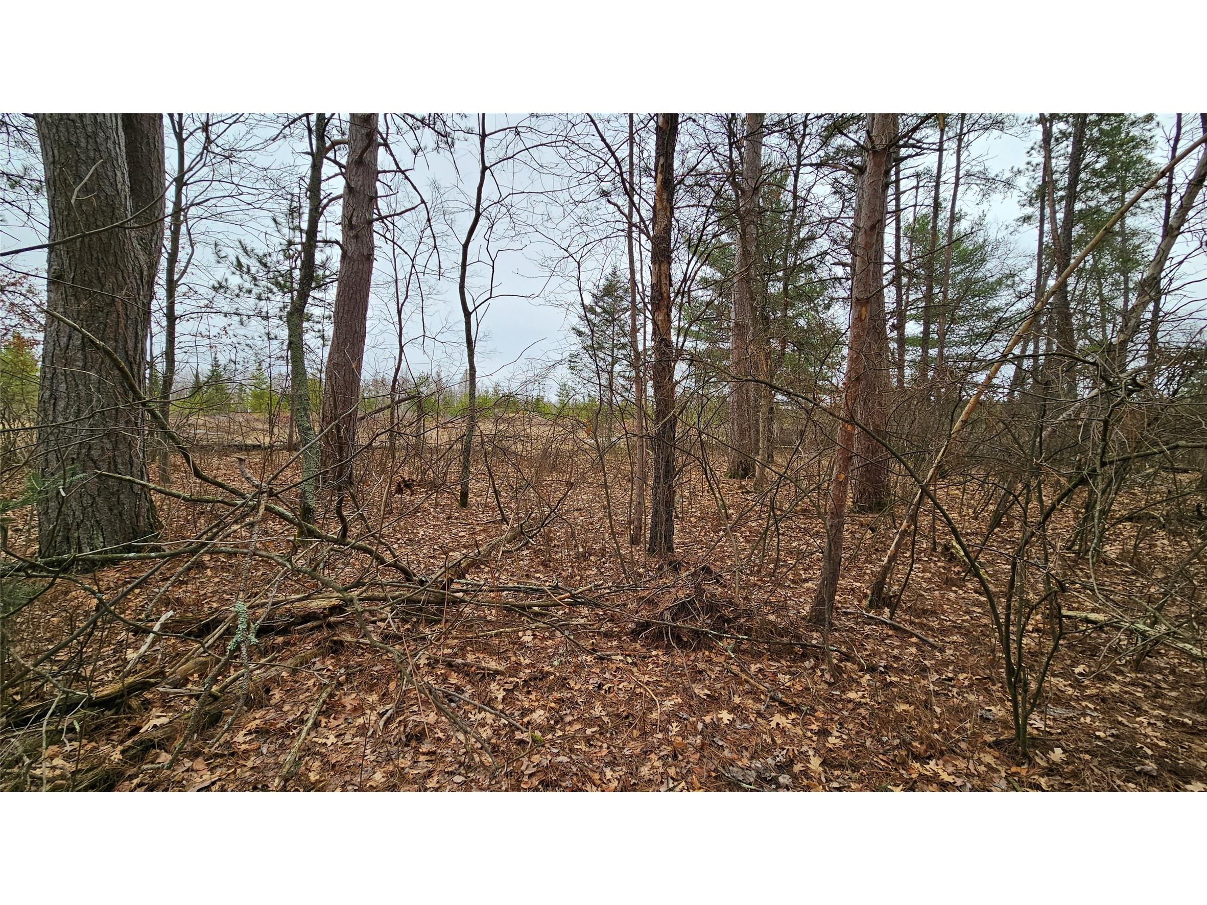 Lot 2 Jenny Lane Hayward WI 54843 1599996 image5