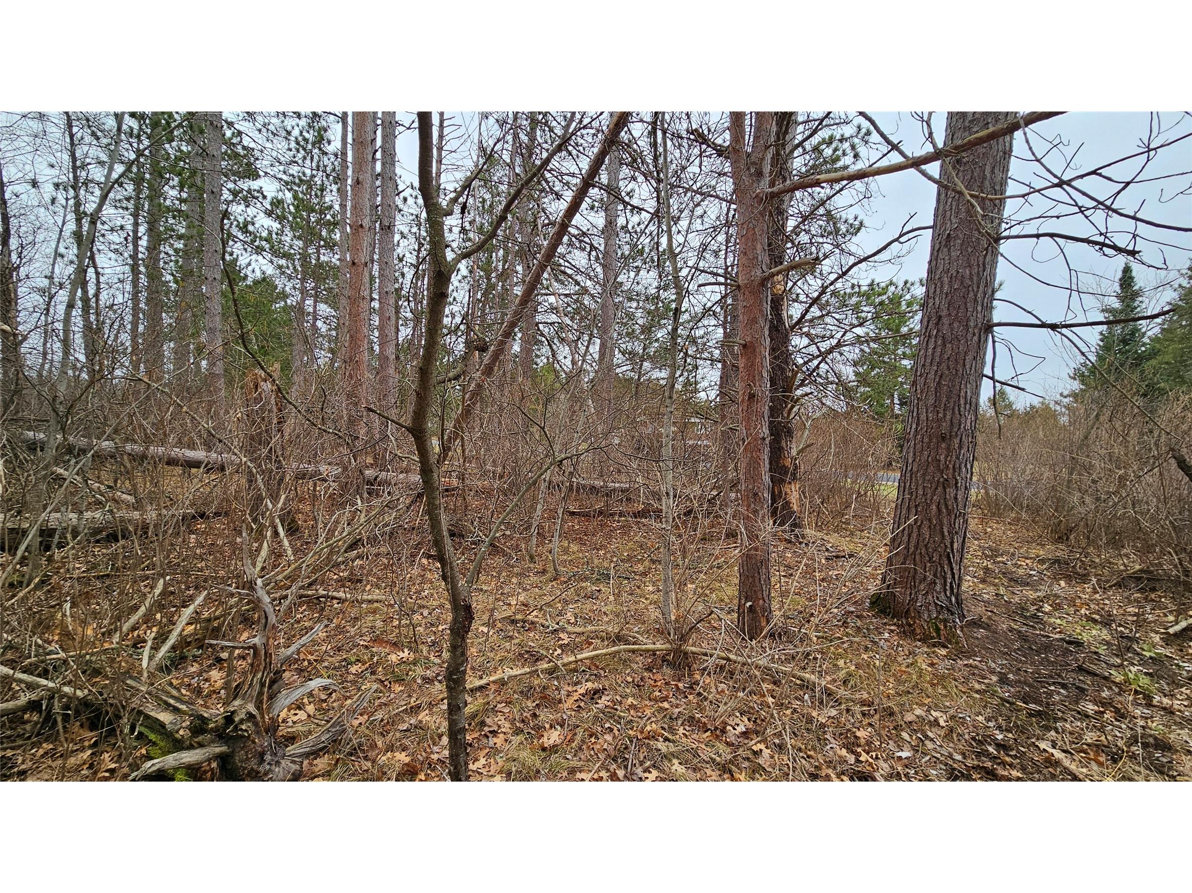 Lot 2 Jenny Lane Hayward WI 54843 1599996 image6