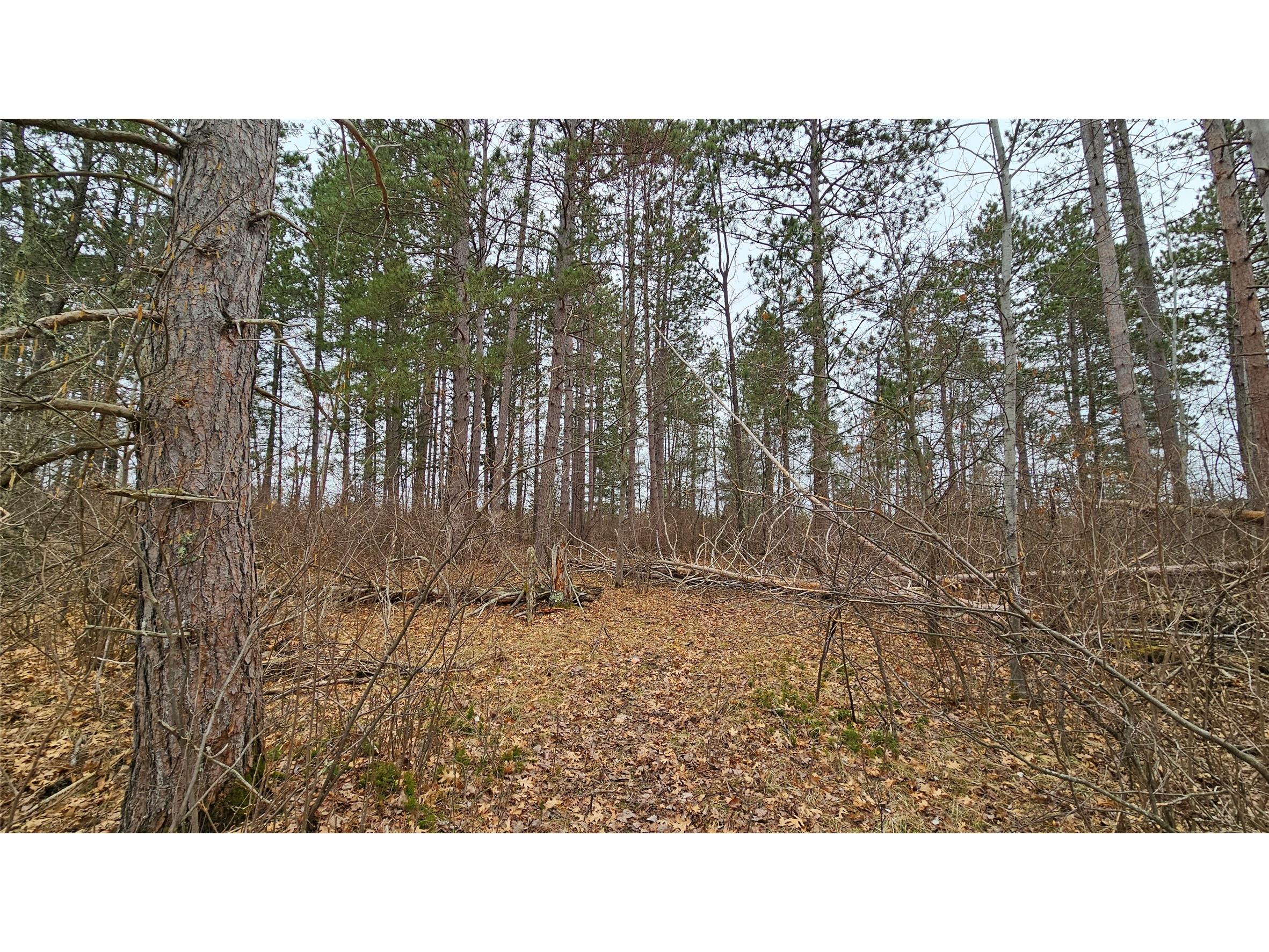 Lot 2 Jenny Lane Hayward WI 54843 1599996 image7