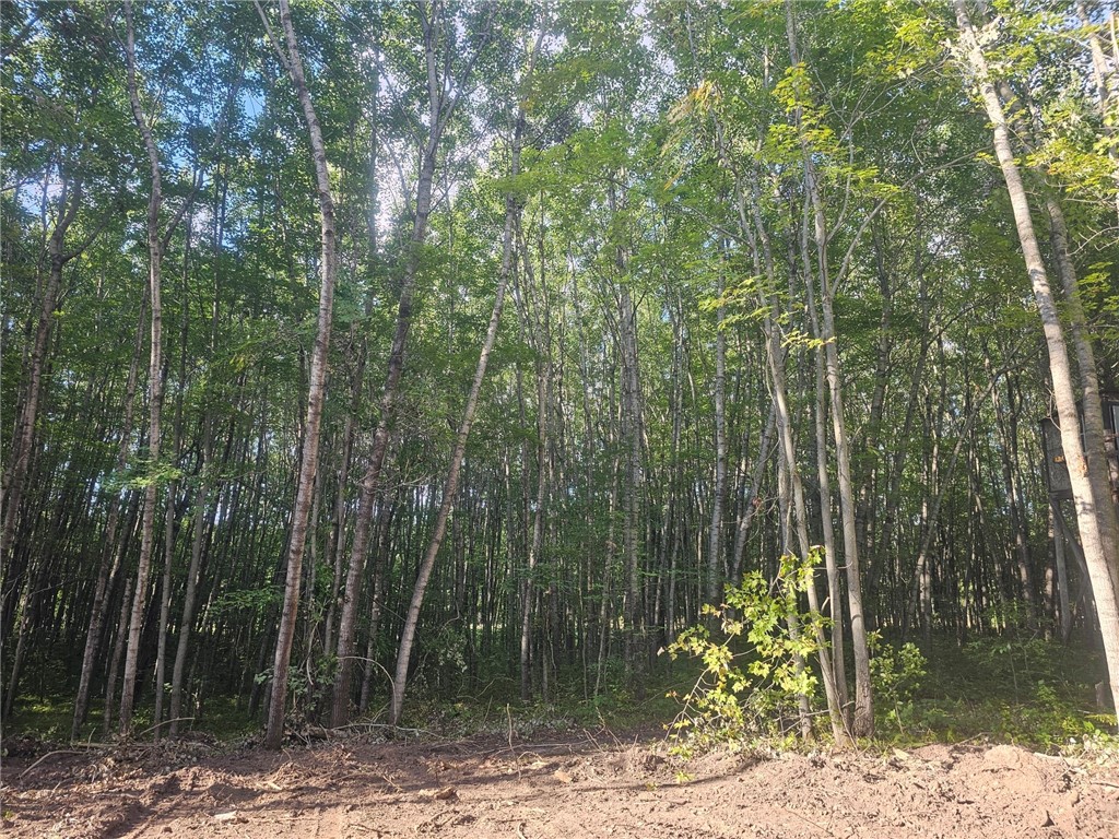 Lot 2 Ken Can Lane Webster WI 54893 1594984 image7