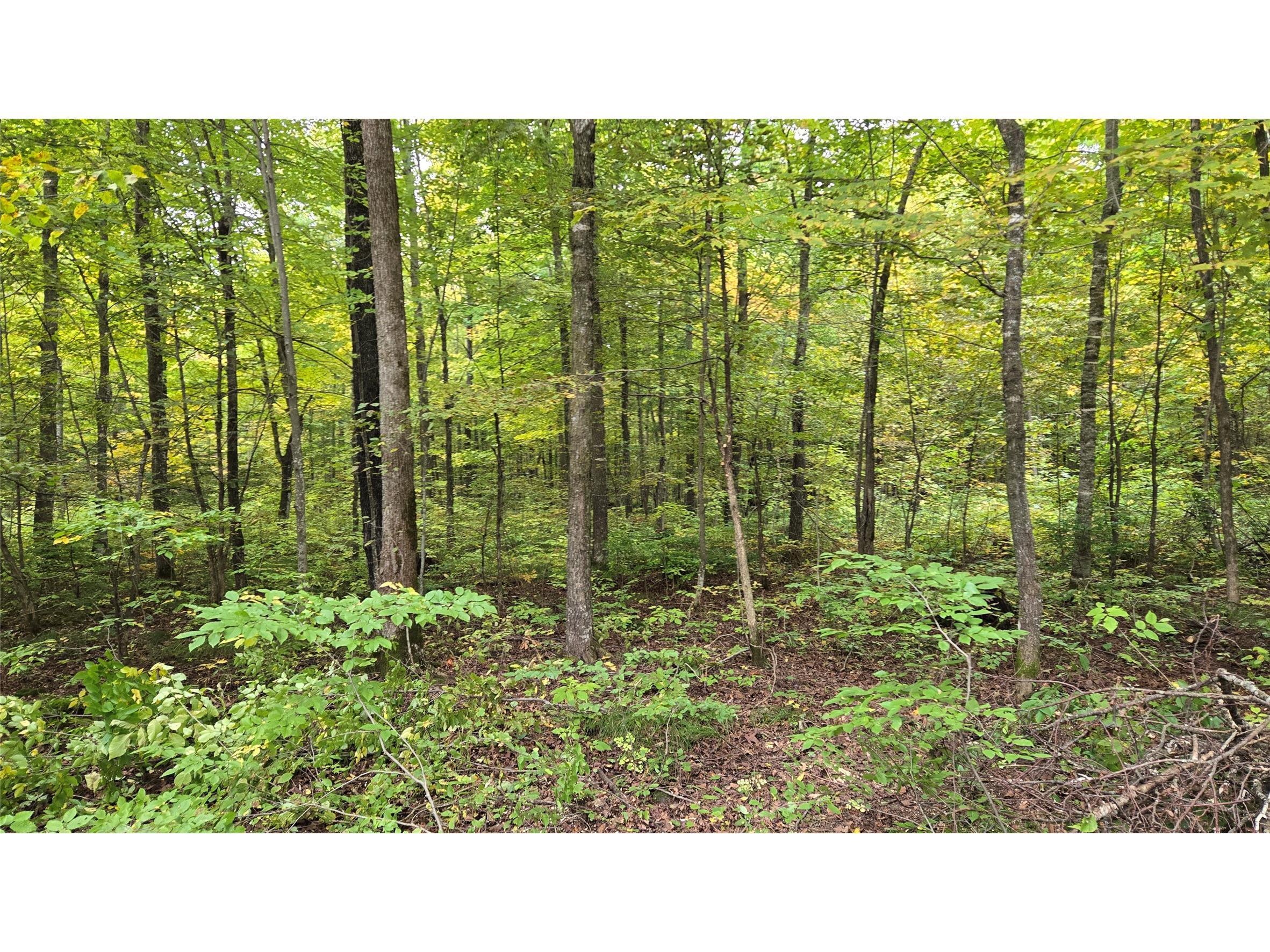 Lot 2 Lakeview Ln. Exeland WI 54835 1600675 image2