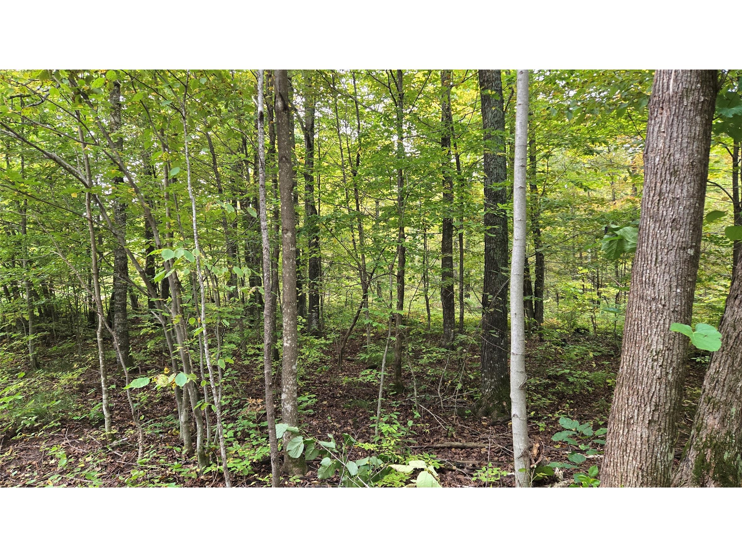 Lot 2 Lakeview Ln. Exeland WI 54835 1600675 image3
