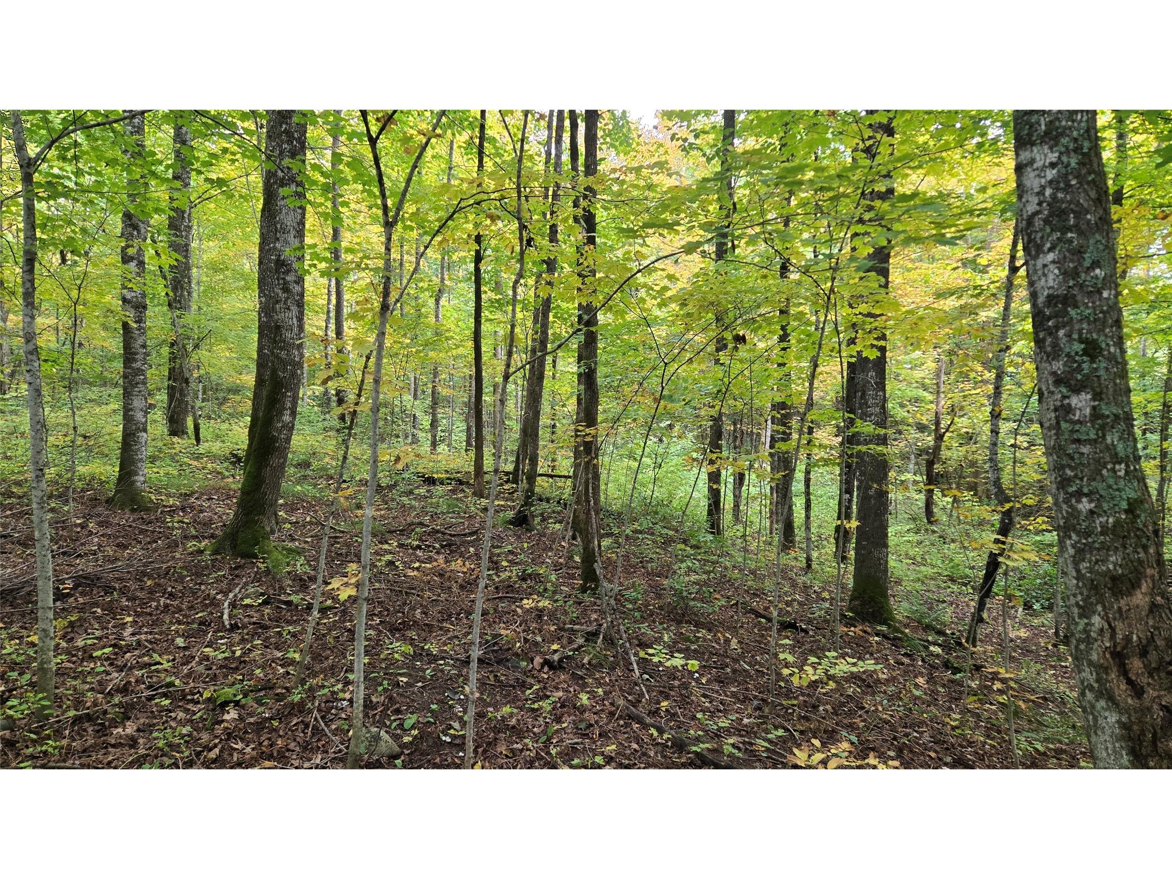 Lot 2 Lakeview Ln. Exeland WI 54835 1600675 image4