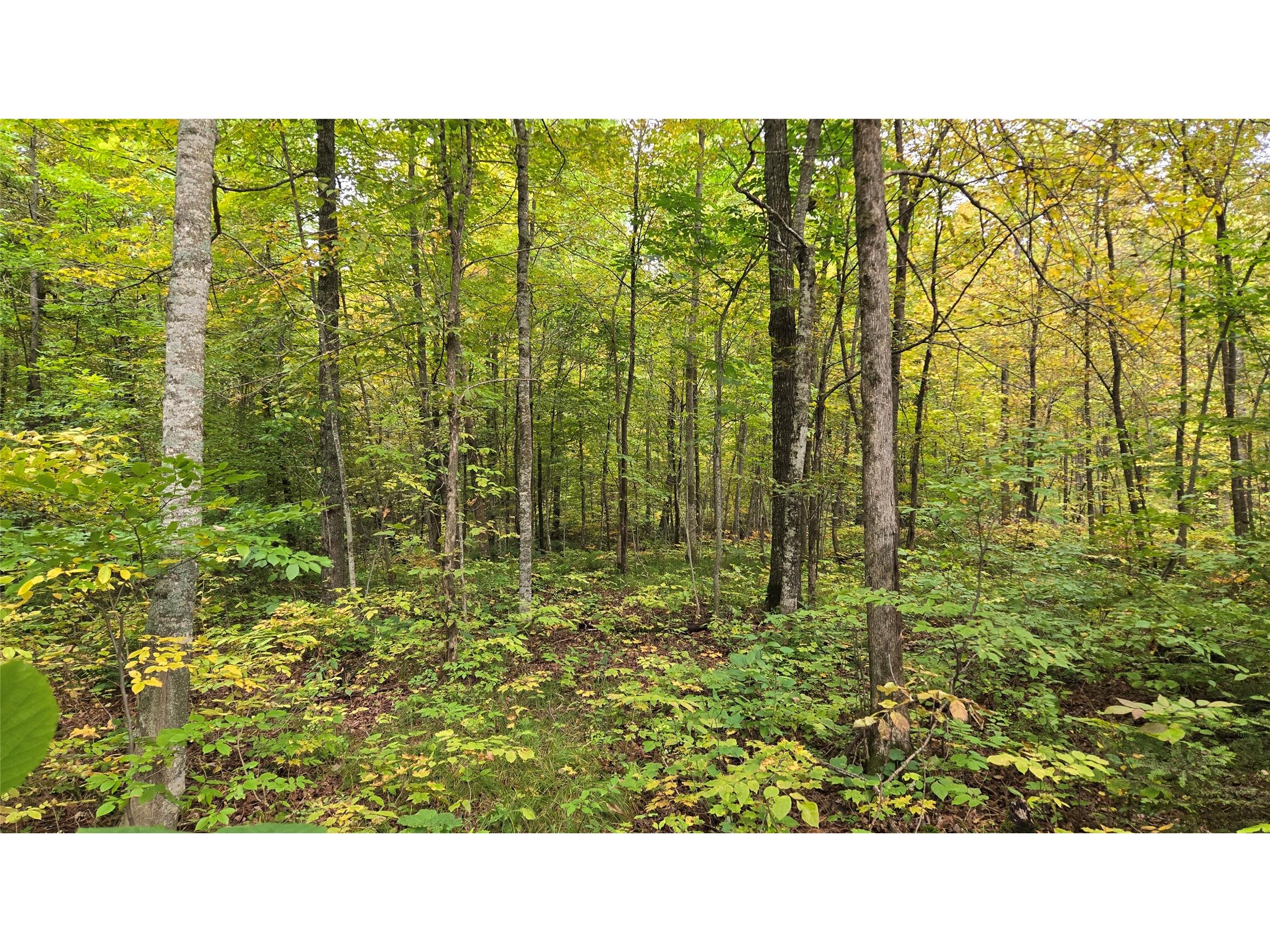 Lot 2 Lakeview Ln. Exeland WI 54835 1600675 image6