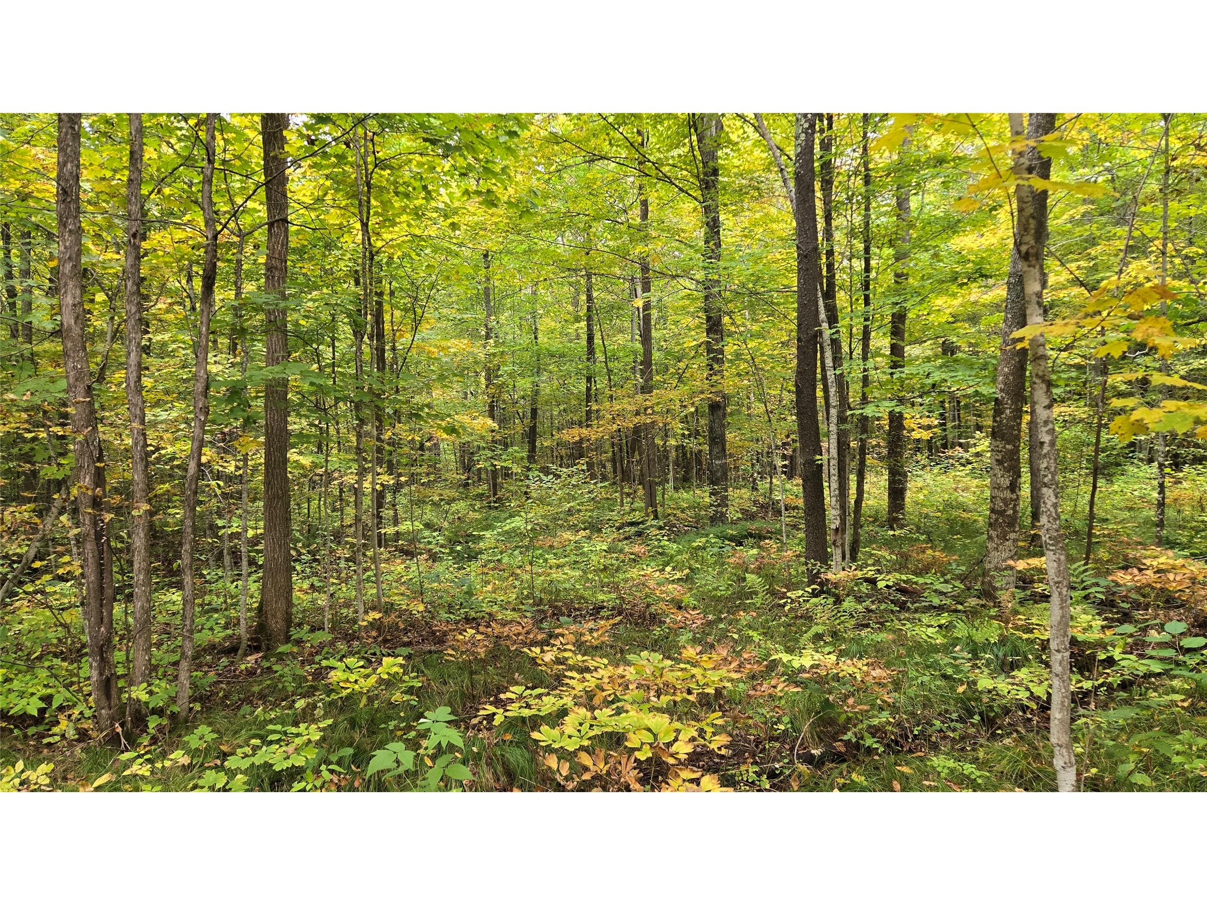Lot 2 Lakeview Ln. Exeland WI 54835 1600675 image9