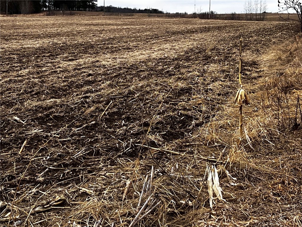 Lot 2 Main Street Cadott WI 54727 1589805 image8