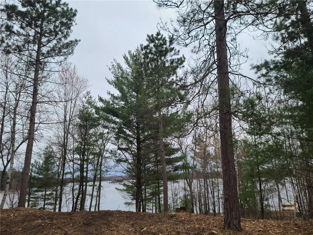 Lot 2 Mallard Lake Road Webster WI 54893 - Green 1564031 image1