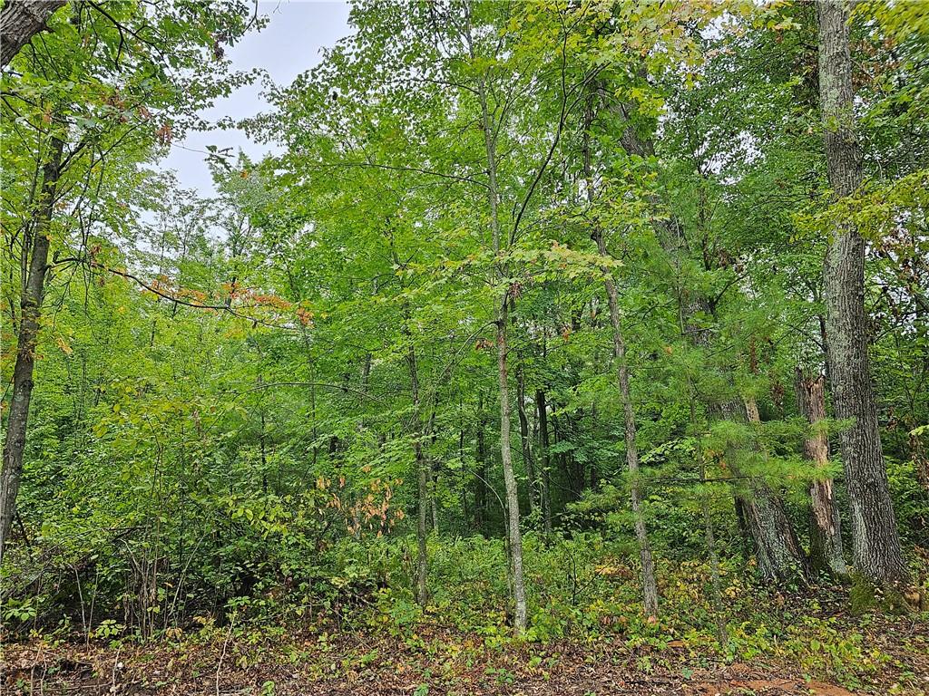 Lot 2 Maria's Way Webster WI 54893 1577112 image1