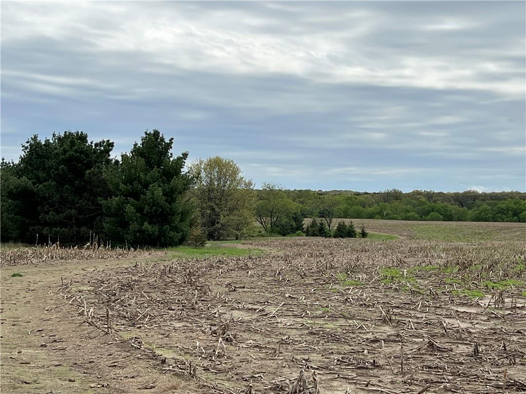 Lot 2 Mertinke Landing Eleva WI 54701 1564564 image1