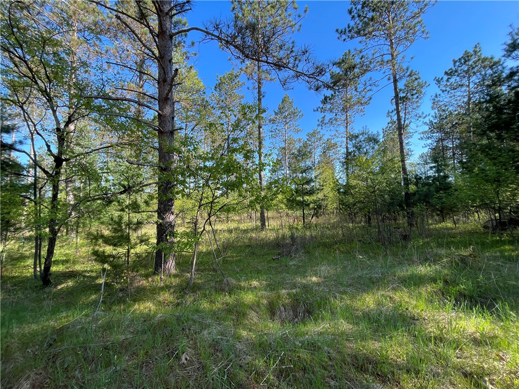 Lot 2 Murphy Boulevard Hayward WI 54843 1593885 image6