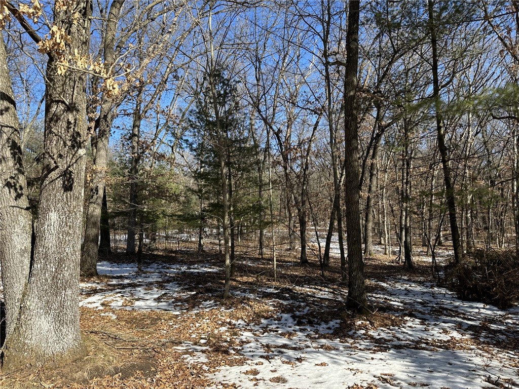 Lot 2 Murphy Lane Eau Claire WI 54703 1588495 image1