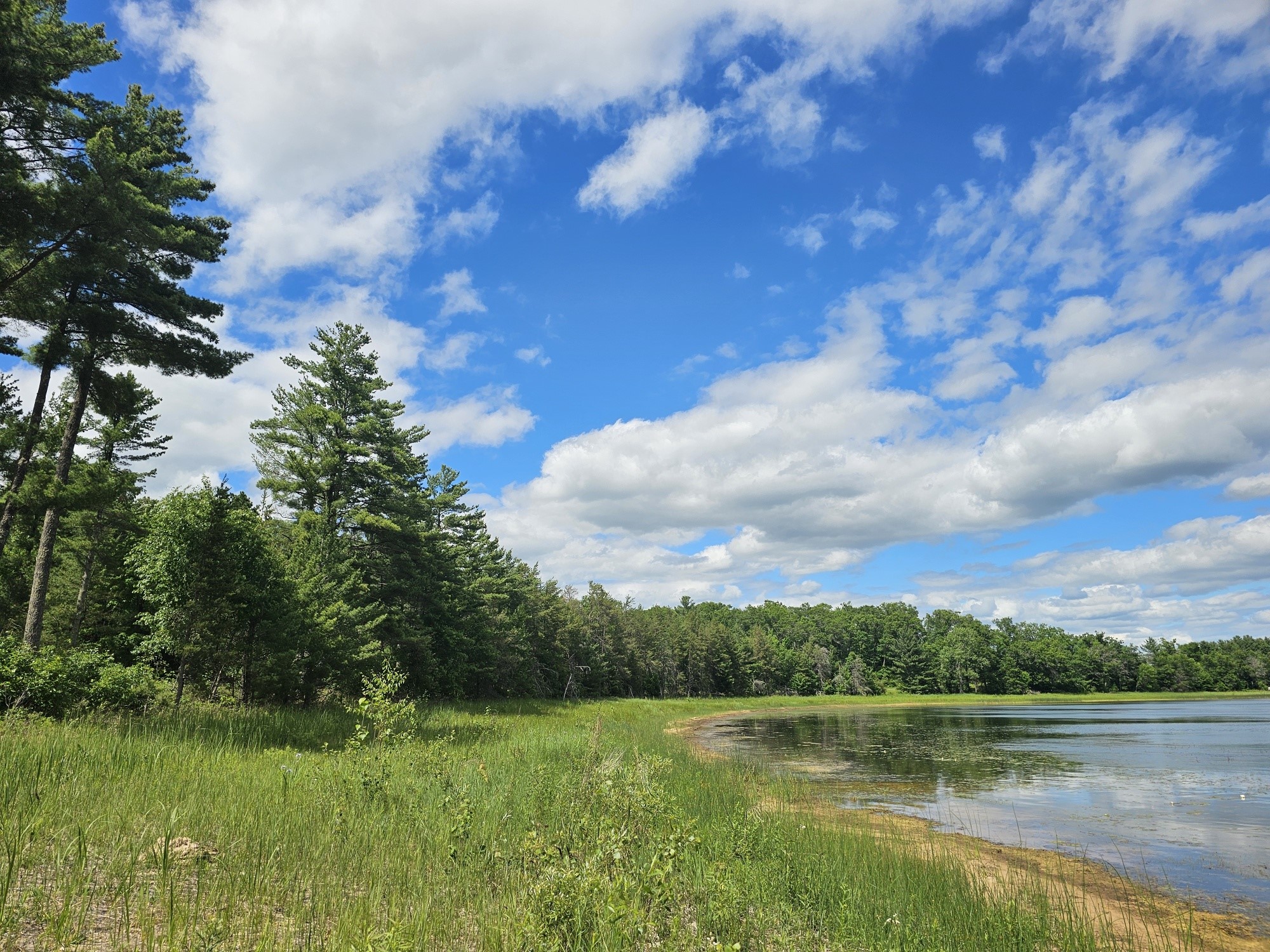 Lot 2 N Bass Lake Road Webster WI 54893 - Bass Lake 1602266 image5