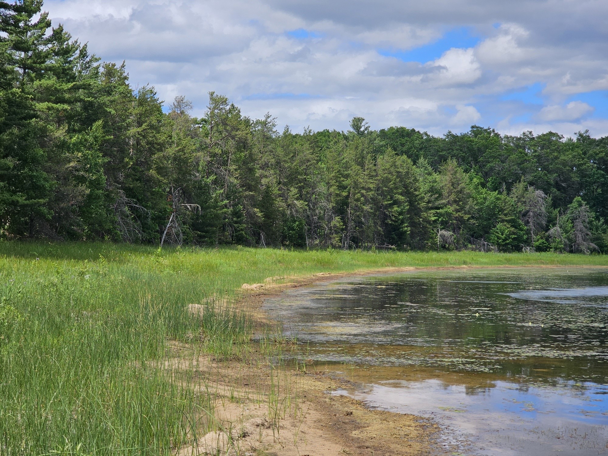 Lot 2 N Bass Lake Road Webster WI 54893 - Bass Lake 1602266 image6