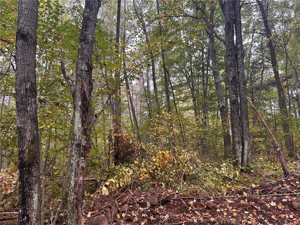 Lot 2 N Sabin Road Hayward WI 54843 1595788 image4