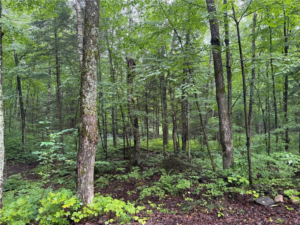 Lot 2 N Scheers Road Hayward WI 54843 1584962 image1