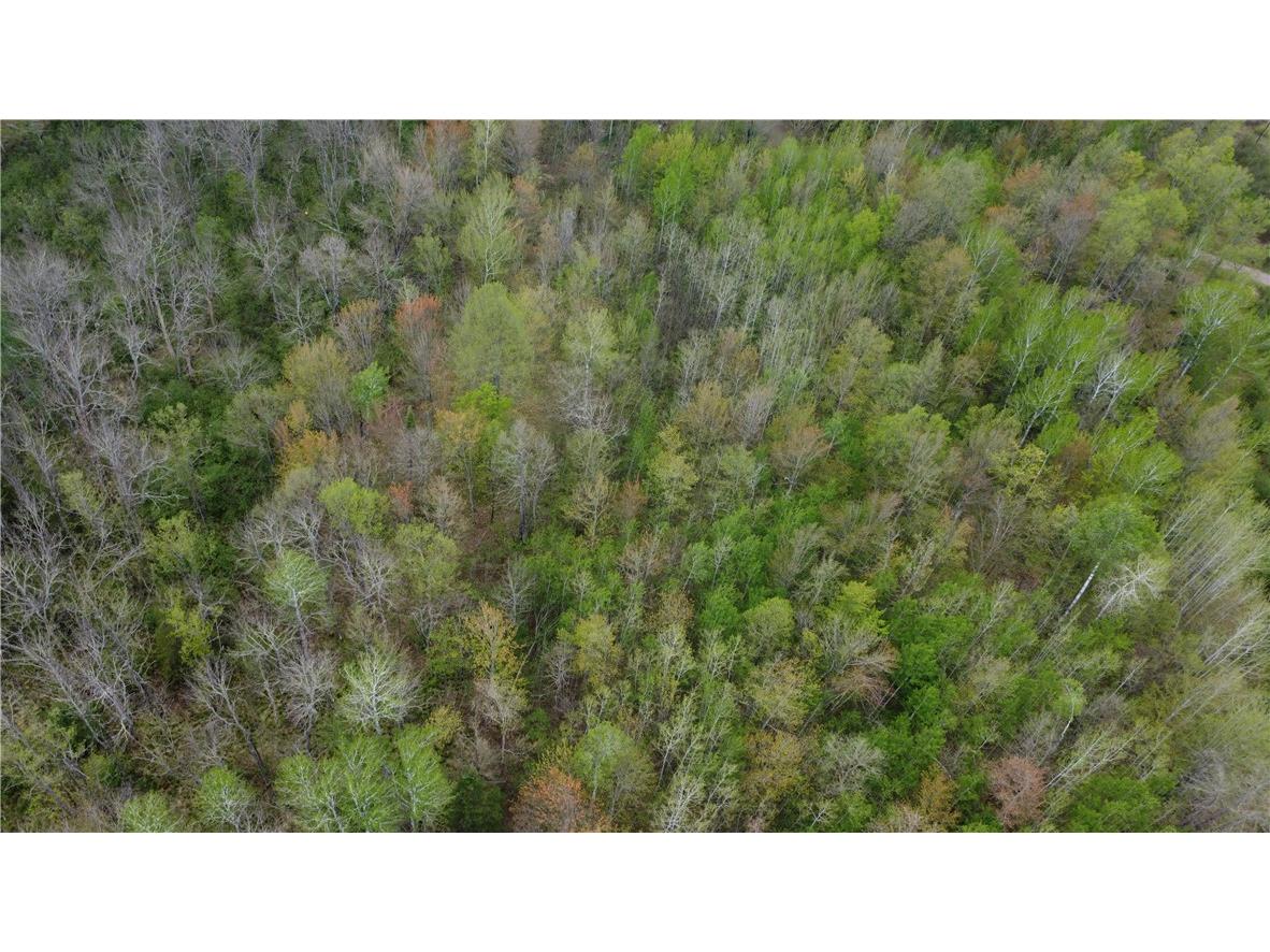 Lot 2 Old Highway 2 Brule WI 54820 1591803 image6