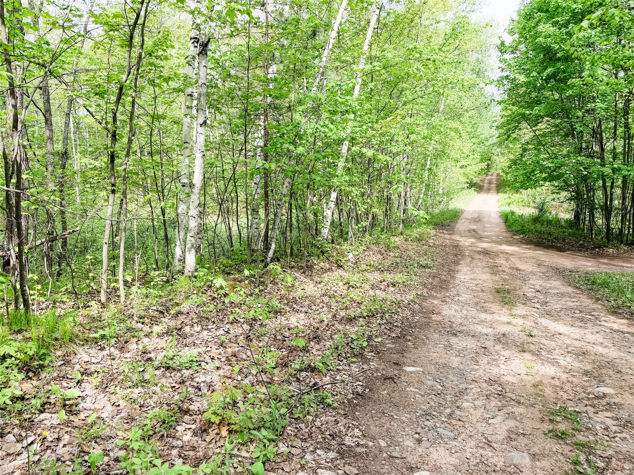 Lot 2 Peterson Road Wascott WI 54859 1601137 image3