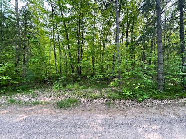 Lot 2 Plover Lane Hayward WI 54843 1592309 image1