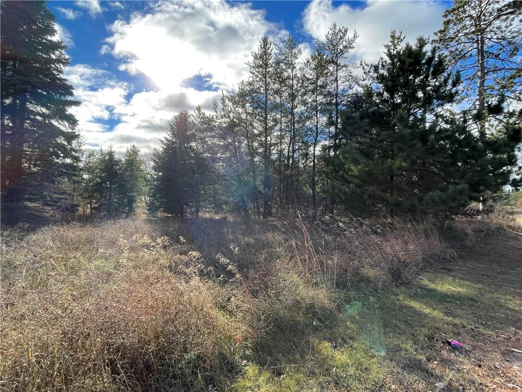 Lot 2 Ranch Road Hayward WI 54843 1587273 image4