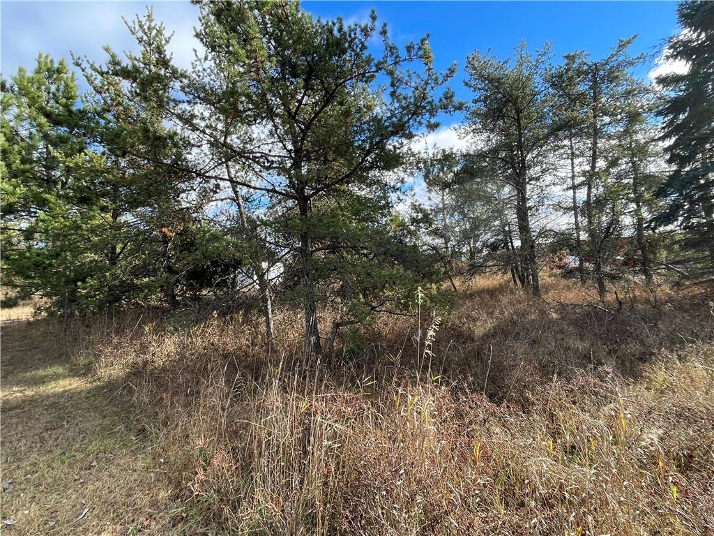 Lot 2 Ranch Road Hayward WI 54843 1587273 image5
