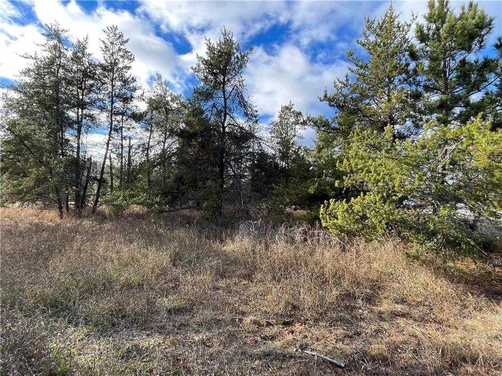 Lot 2 Ranch Road Hayward WI 54843 1587273 image7
