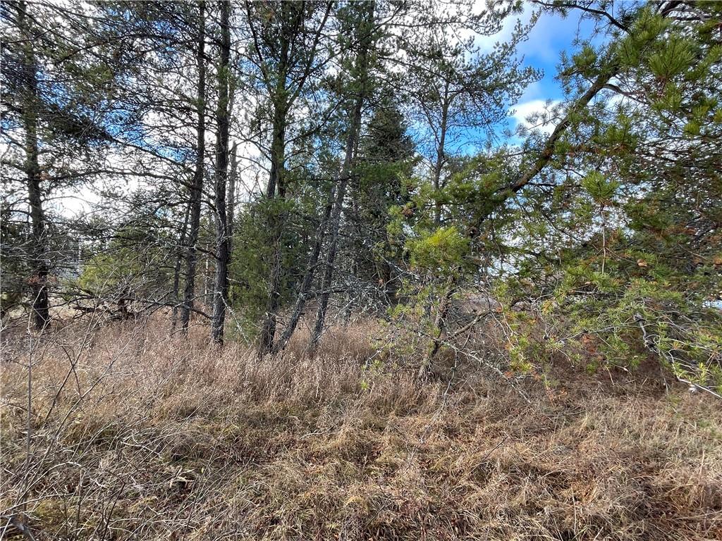 Lot 2 Ranch Road Hayward WI 54843 1587273 image9