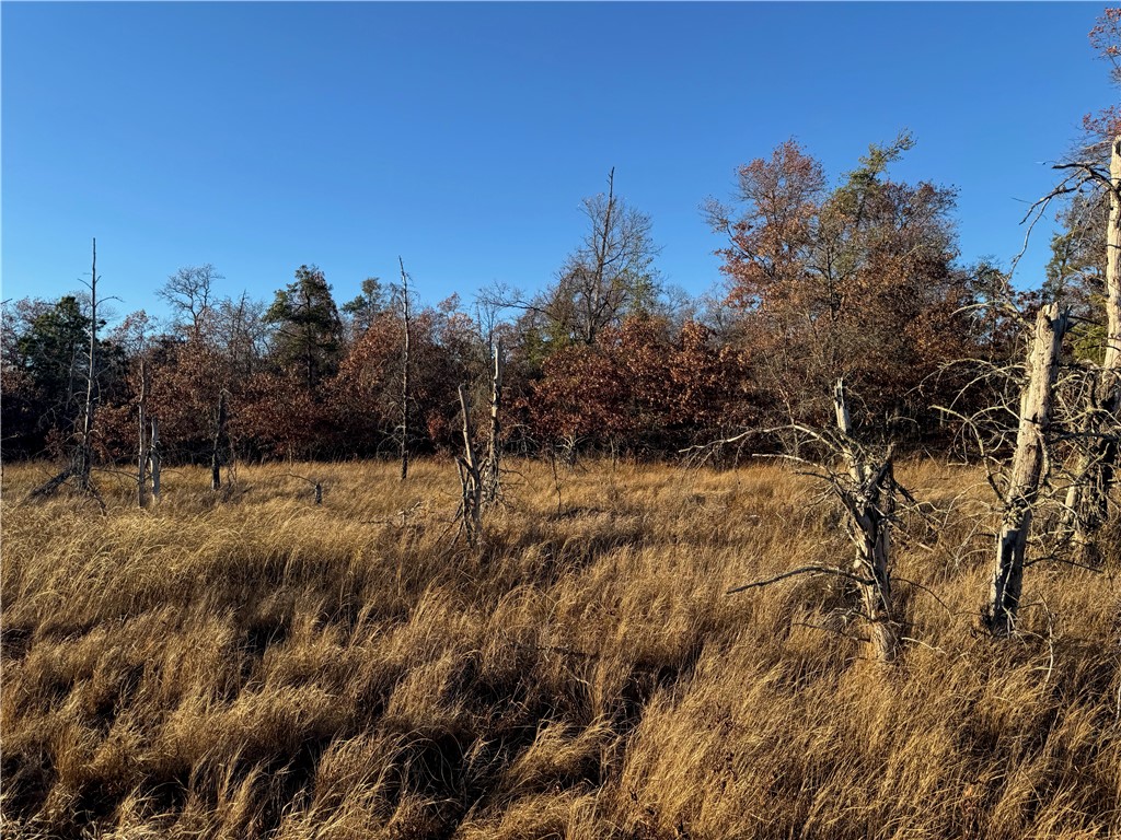 Lot 2 Sandy Shores Drive Minong WI 54859 - Sand 1596927 image34