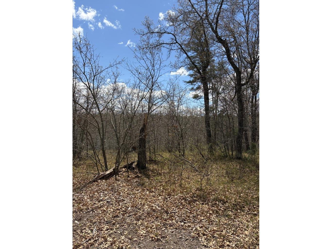 Lot 2 Sleepy Eye Road Minong WI 54859 - Sleepy Eye Lake 1602148 image6