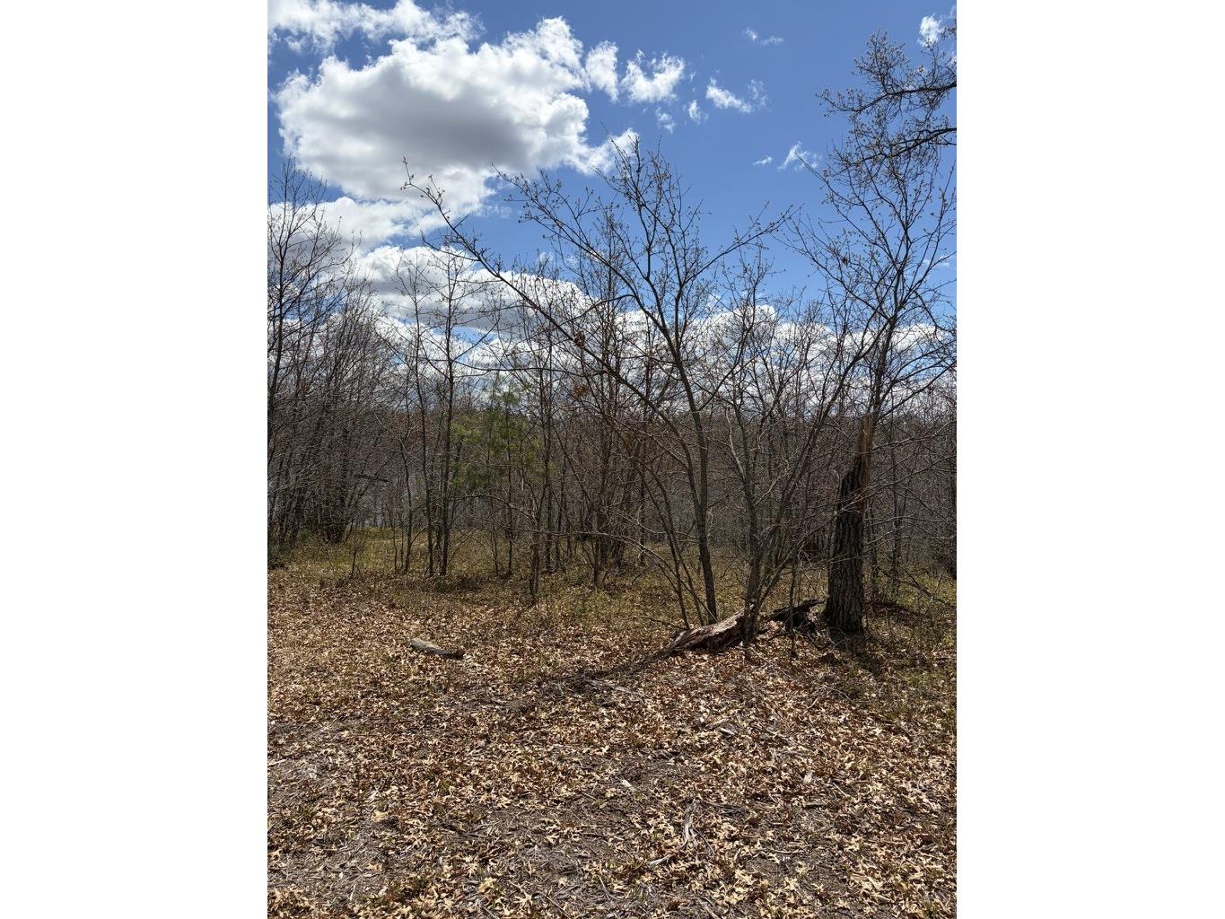 Lot 2 Sleepy Eye Road Minong WI 54859 - Sleepy Eye Lake 1602148 image7