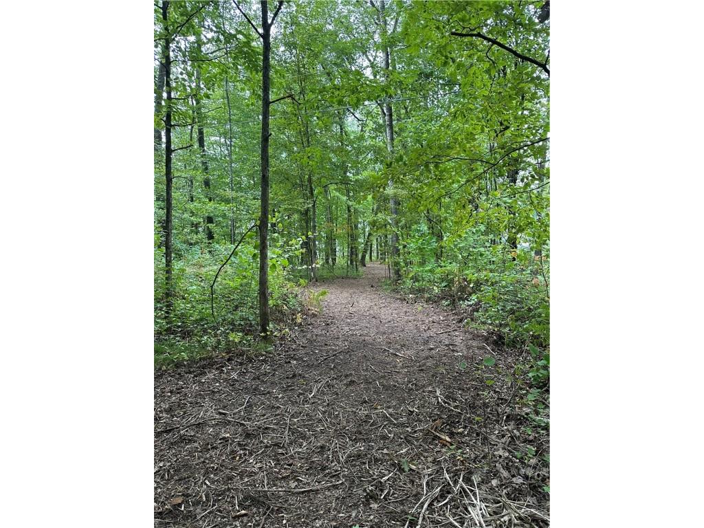 Lot #2 Thoroughfare Lane Stone Lake WI 54843 - Lac Courte Oreilles 1593177 image6