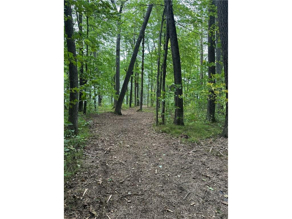 Lot #2 Thoroughfare Lane Stone Lake WI 54843 - Lac Courte Oreilles 1593177 image7