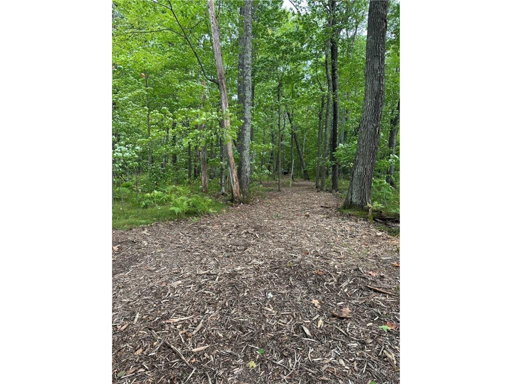 Lot #2 Thoroughfare Lane Stone Lake WI 54843 - Lac Courte Oreilles 1593177 image8