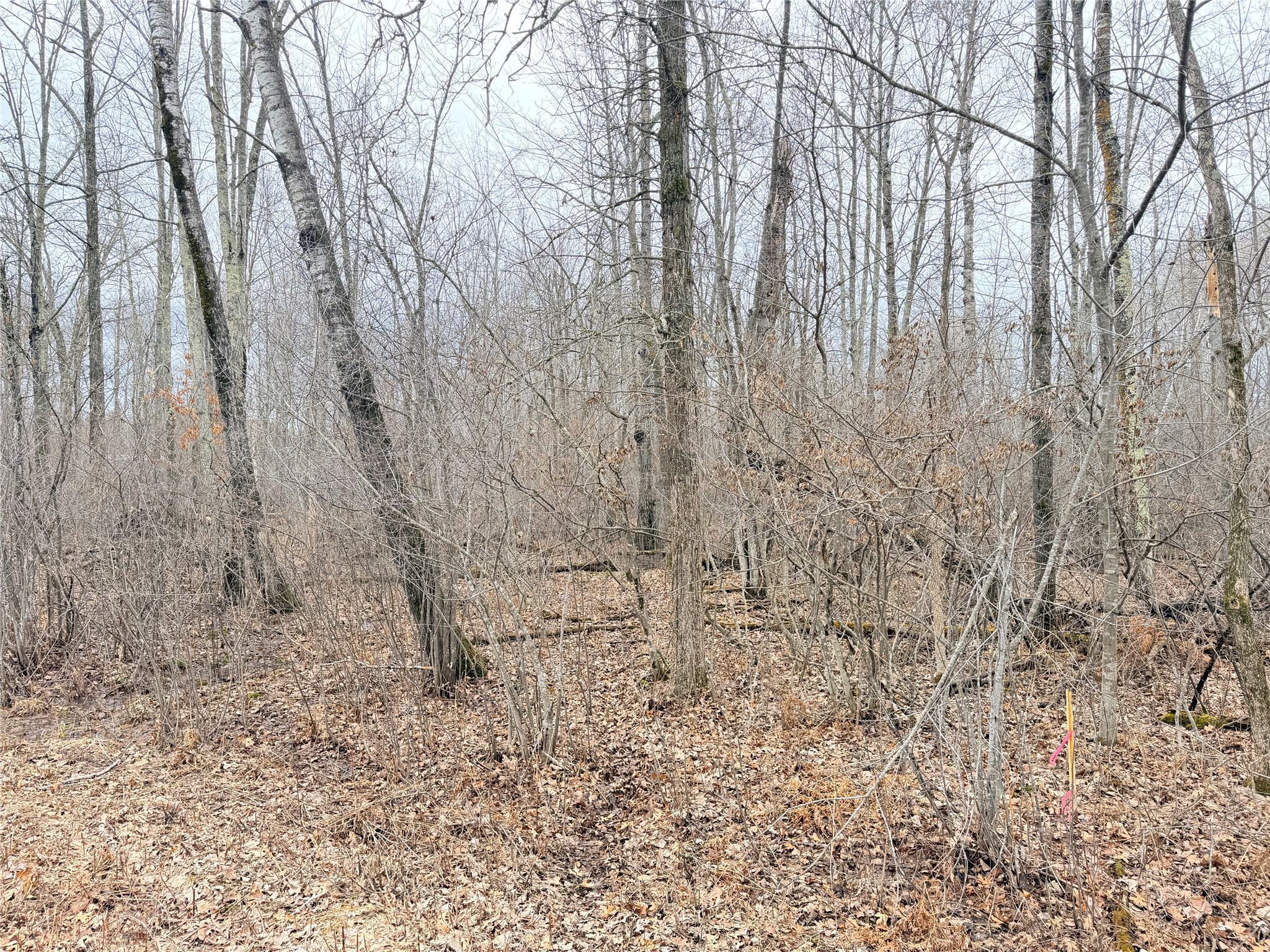 Lot 20 28 7/8 Avenue Birchwood WI 54817 1599751 image1