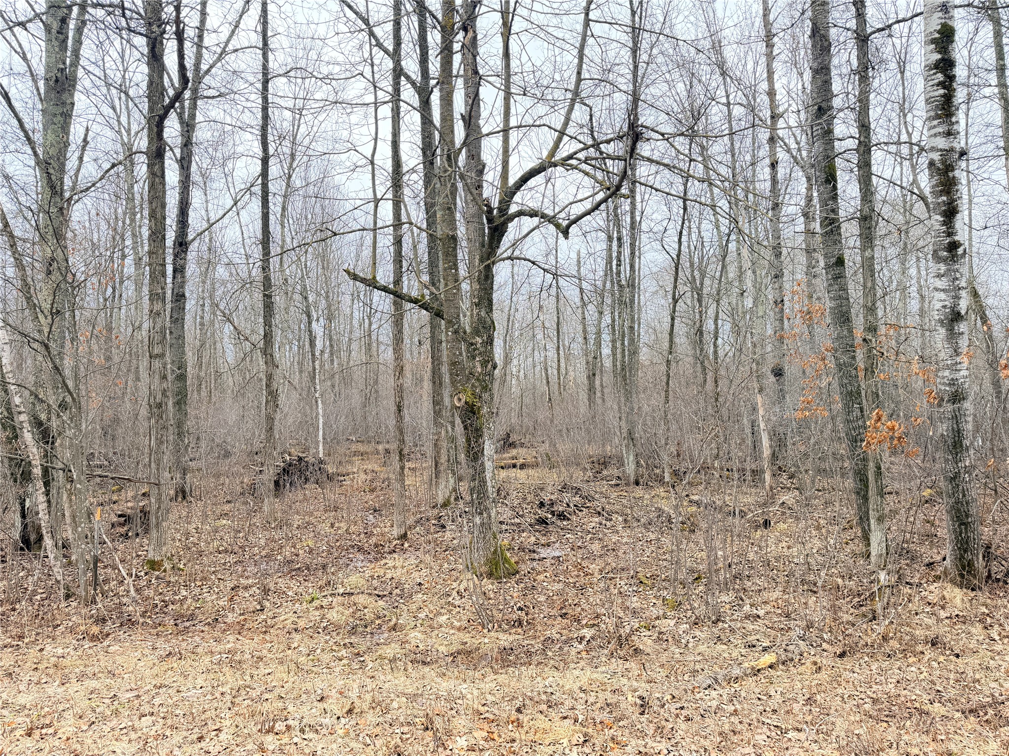 Lot 20 28 7/8 Avenue Birchwood WI 54817 1599751 image2